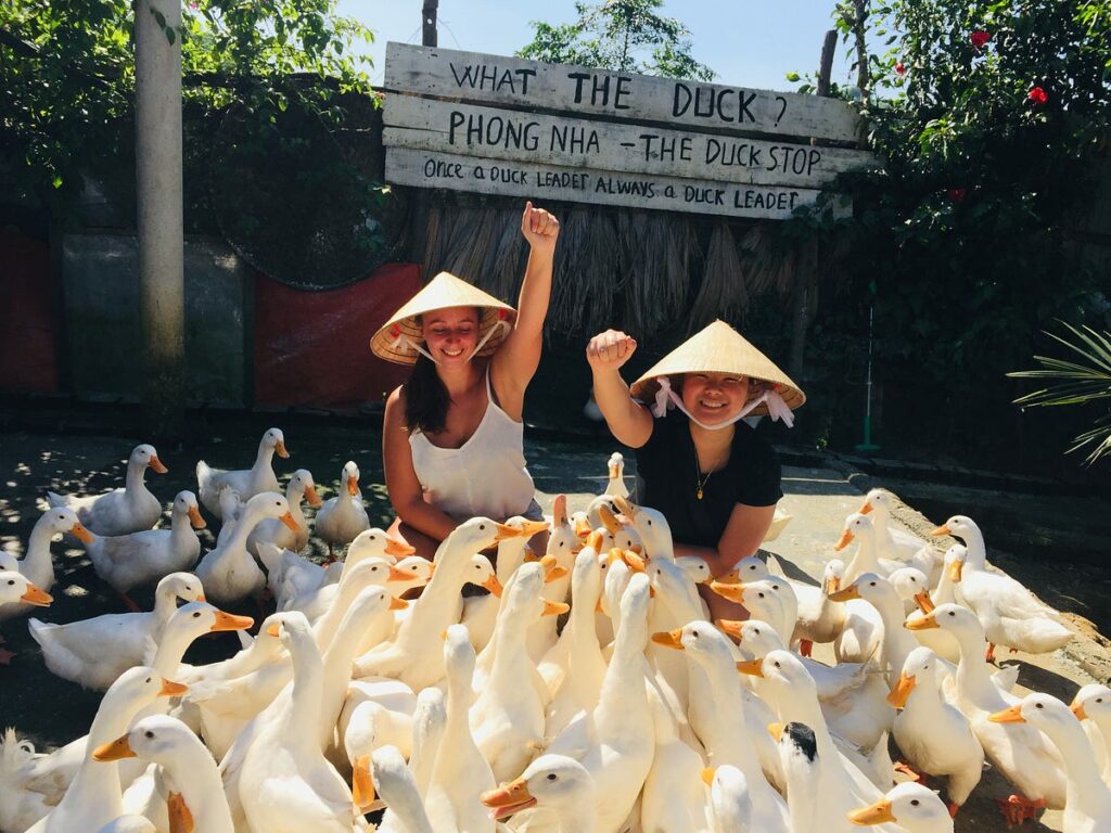 Cho vịt ăn ở Duck Stop