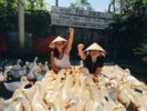 The Duck Stop Phong Nha – Điểm du lịch hút khách tại thung lũng Bồng Lai, Quảng Bình