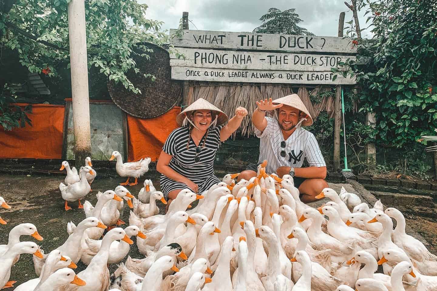 Duck Stop Phong Nha thu hút du khách Quốc tế